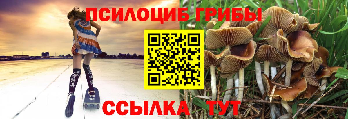 Галлюциногенные грибы MAGIC MUSHROOMS Ангарск